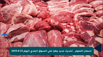 أسعار اللحوم.. تحديث جديد يطرأ على السوق البلدي اليوم 23-8-2025